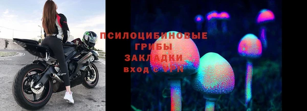 мескалин Алексин