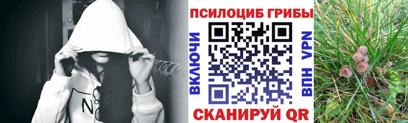 hydra Зверево Псилоцибиновые грибы прущие грибы